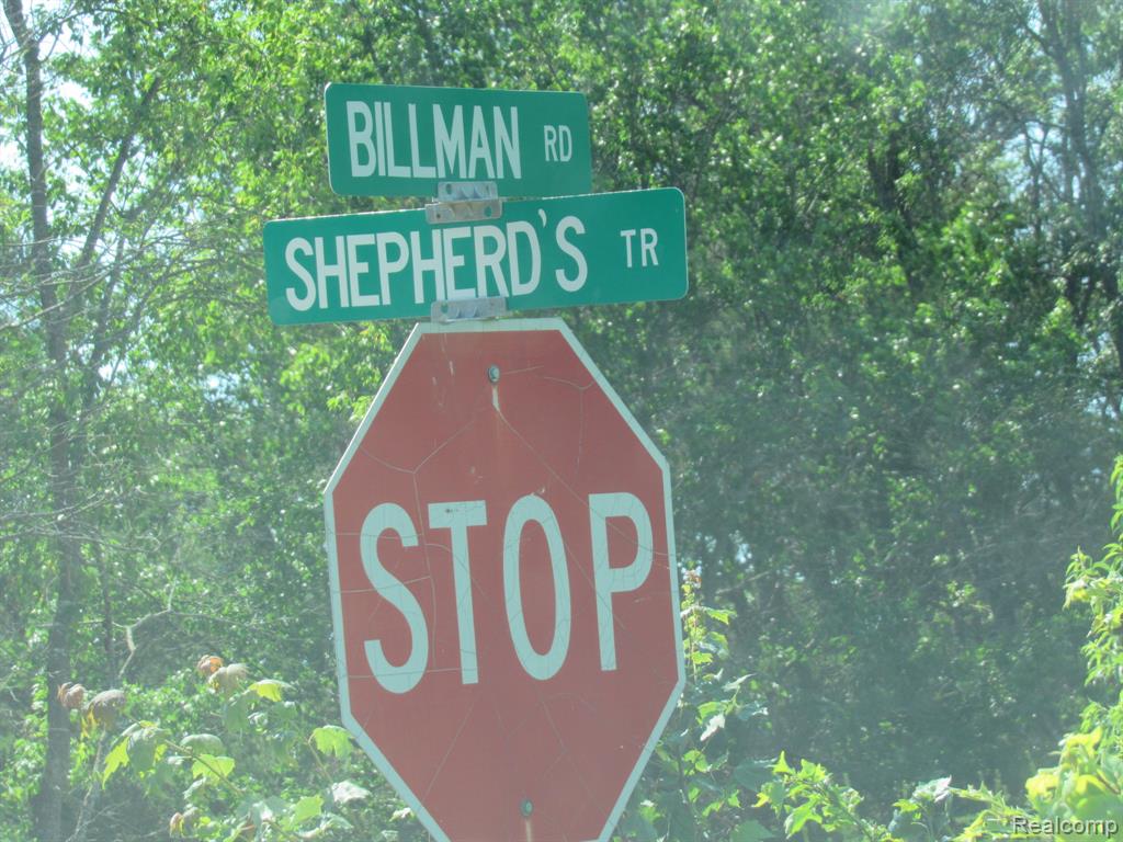 VL Shepherds Trail 10 Acres, Roscommon, MI 48653