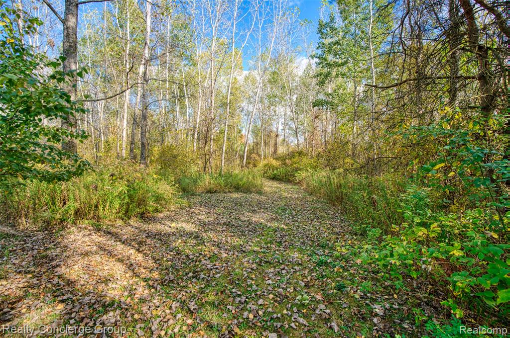 16013 Bird Road, Linden, MI 48451 — Photo 32