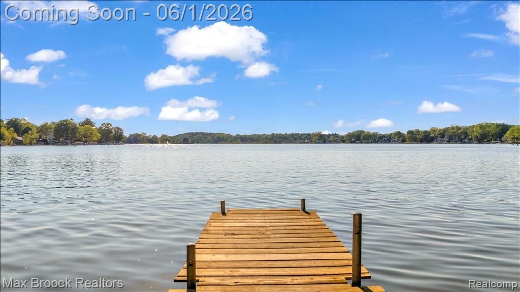 8860 Rushside Drive, Pinckney, MI 48169 — Photo 35