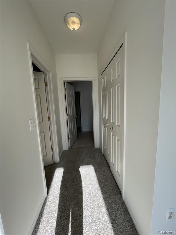 8133 Autumn Woods Trail, Ypsilanti, MI 48198 — Photo 19