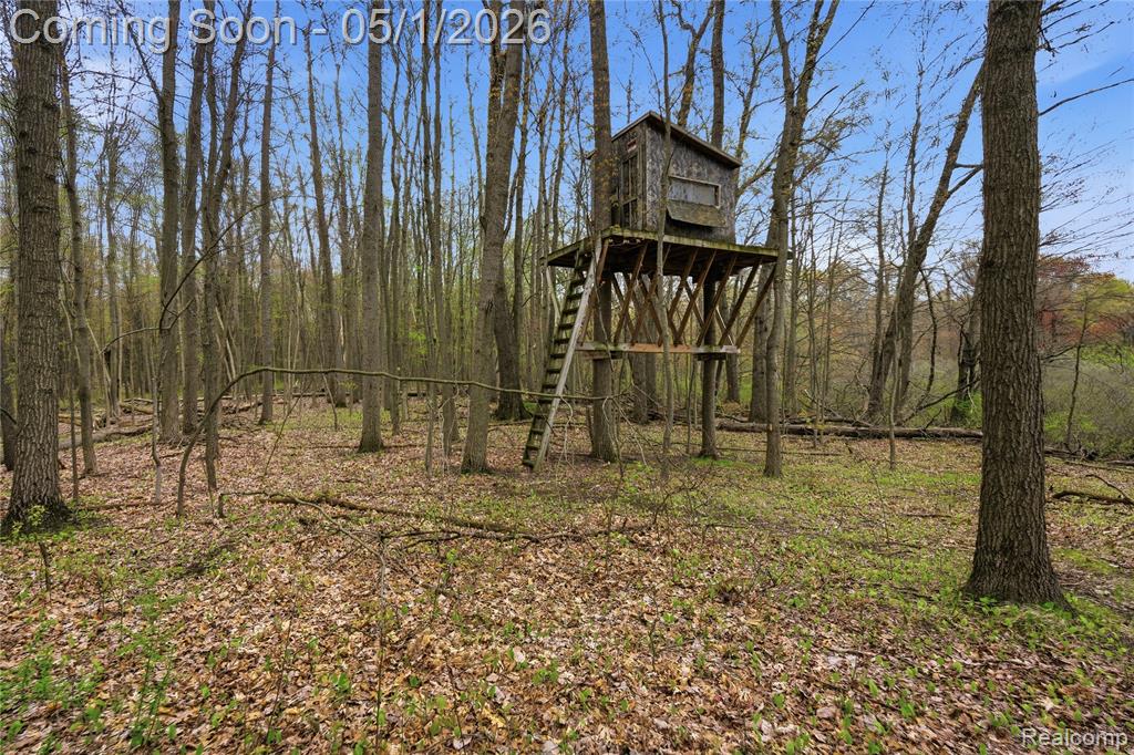 7527 Koby Court, White Lake, MI 48383 — Photo 6