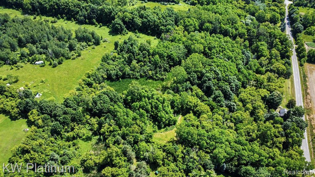 5918 Jeddo Road, MI 48032 — Photo 39