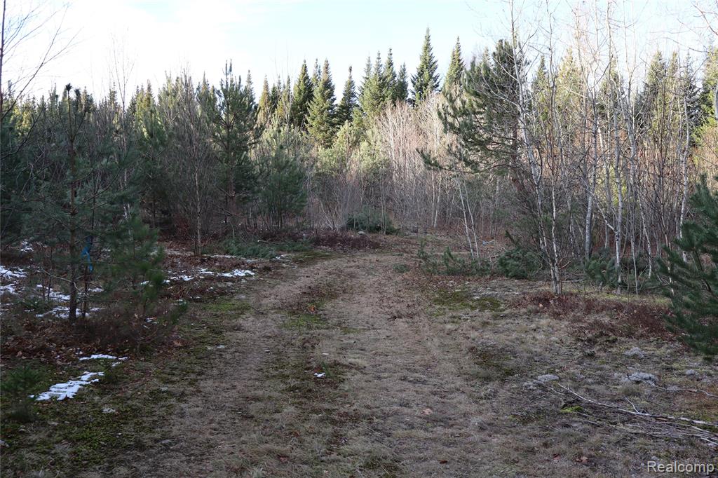 #A W Pendills Lake Road, Brimley, MI 49715 — Photo 51
