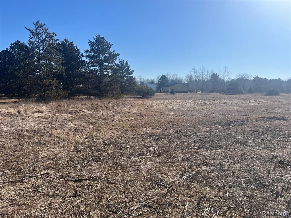 VL Mertz Rd, Mayville Vlg, MI 48744 — Photo 12