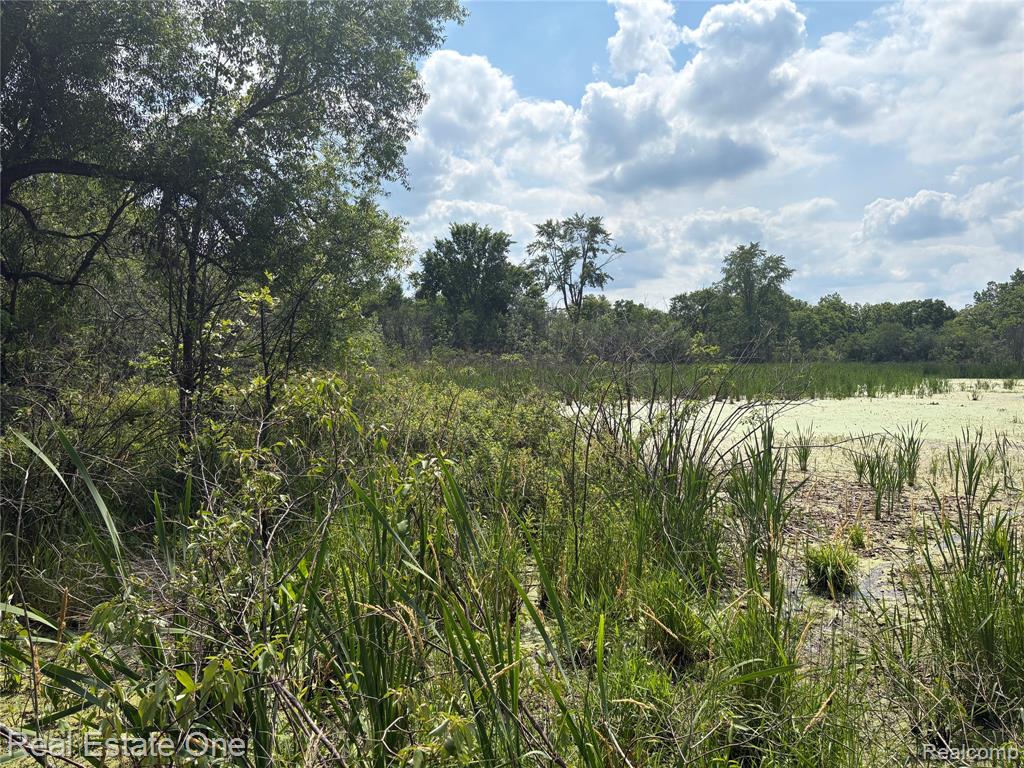 2983 N Harris Road, Ypsilanti, MI 48198 — Photo 13