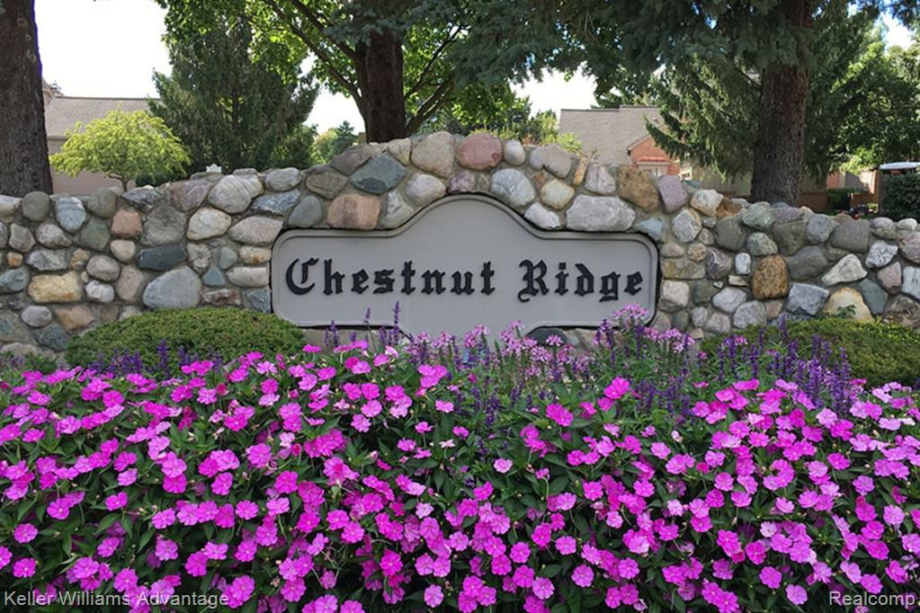 37614 Amber Drive, Farmington Hills, MI 48331 — Photo 36