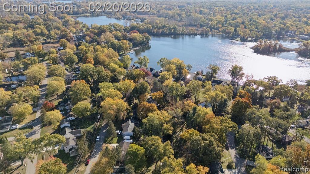 541 Crystalia Street, Commerce Twp, MI 48382 — Photo 57