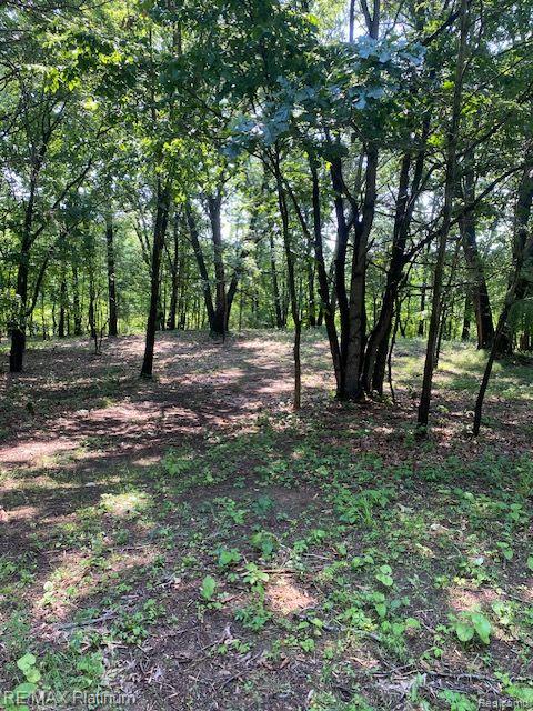 2 Sleaford-Parcel 2-3.2 Acres Road N, Howell, MI 48843