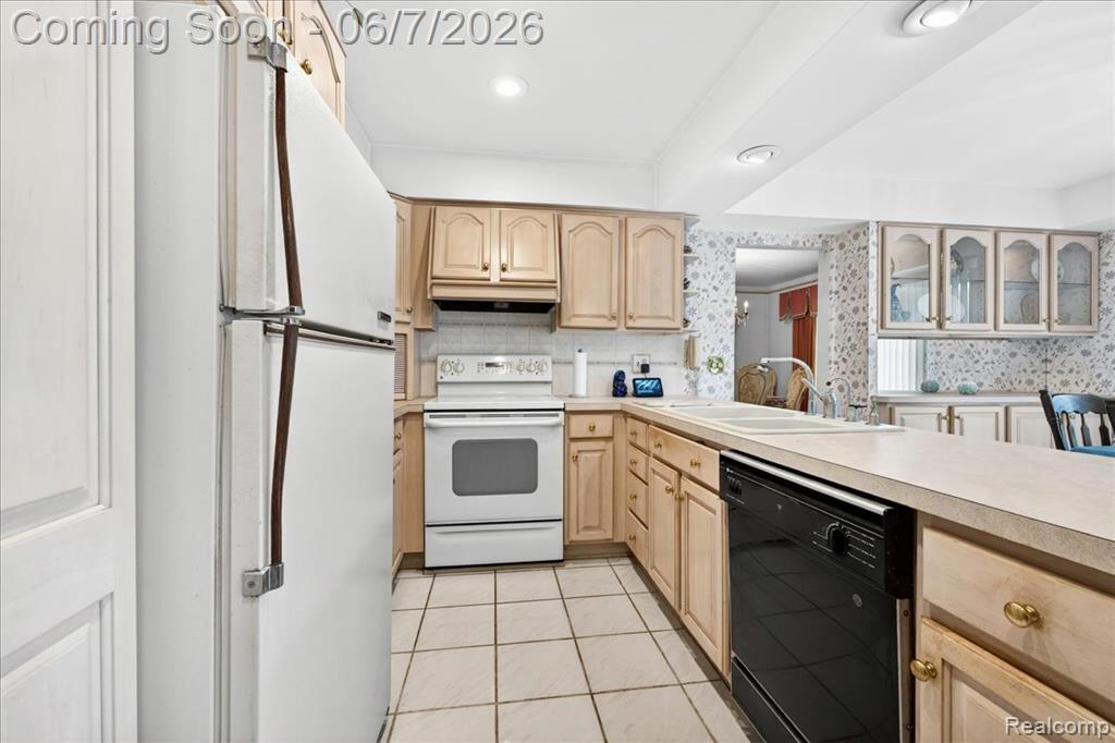 20257 Coachwood Road W, Riverview, MI 48193 — Photo 12