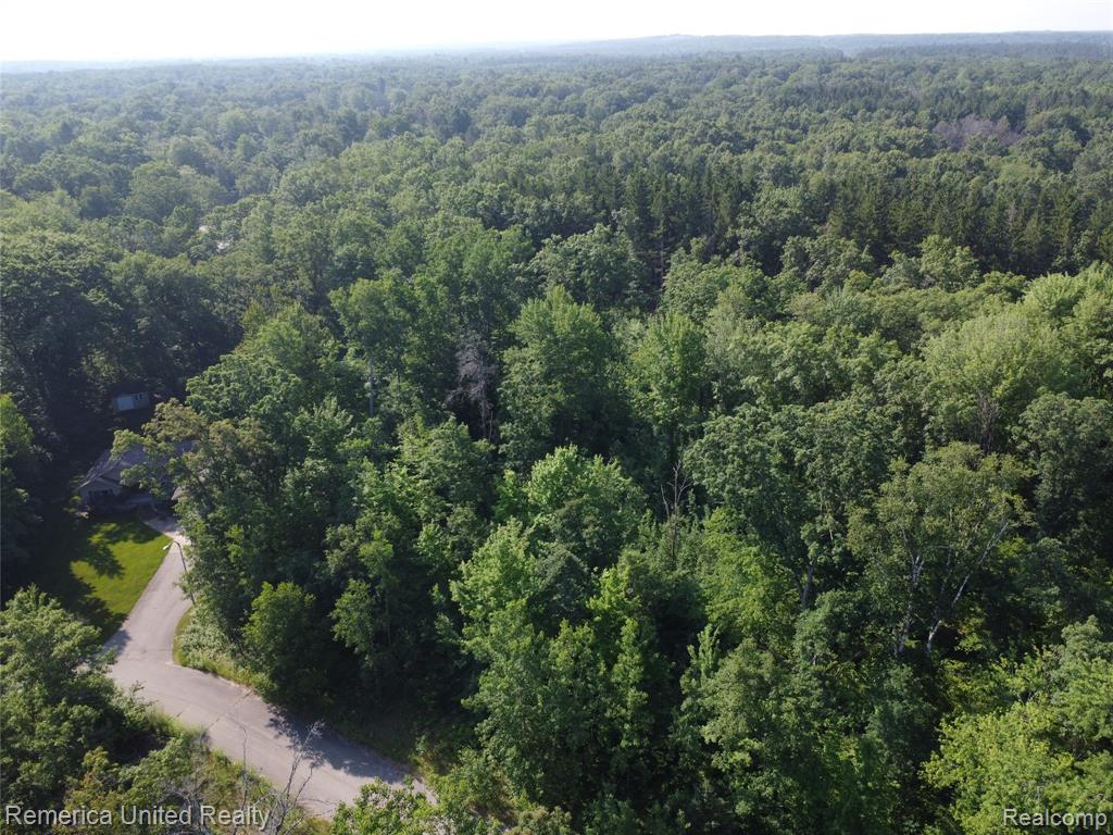 VL Pondside Dr Lot 19, Farwell, MI 48622 — Photo 23