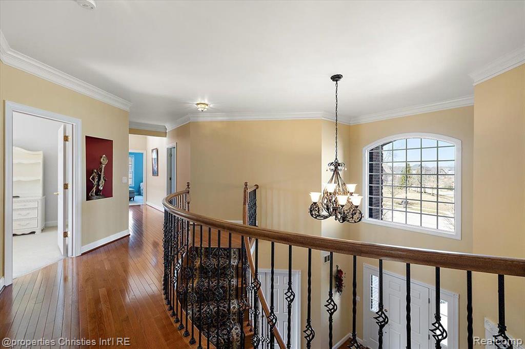 50367 Teton Ridge Road, Northville, MI 48168 — Photo 31