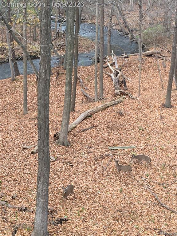 1081 E Tienken Road N, Rochester, MI 48306 — Photo 73