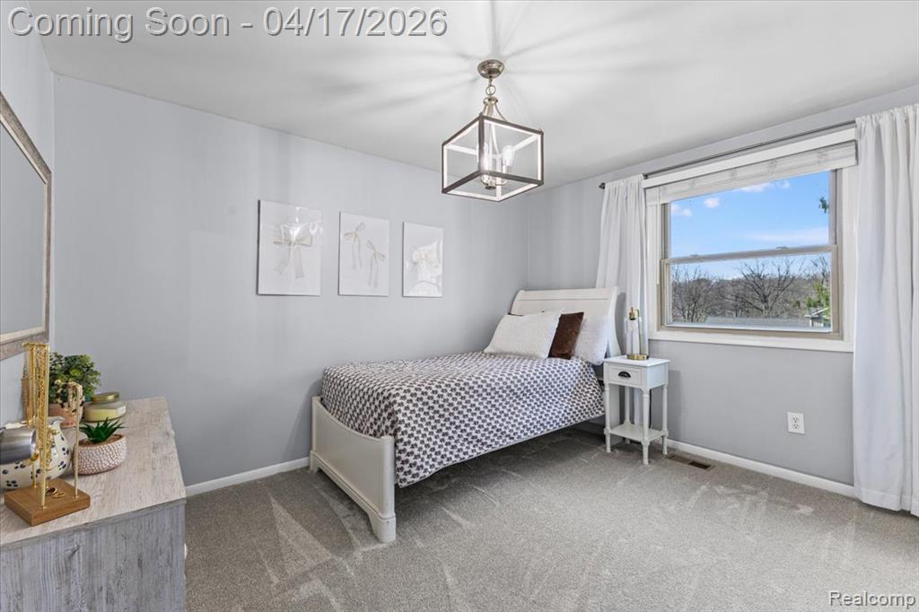 69534 Brookhill Drive, Bruce, MI 48065 — Photo 19