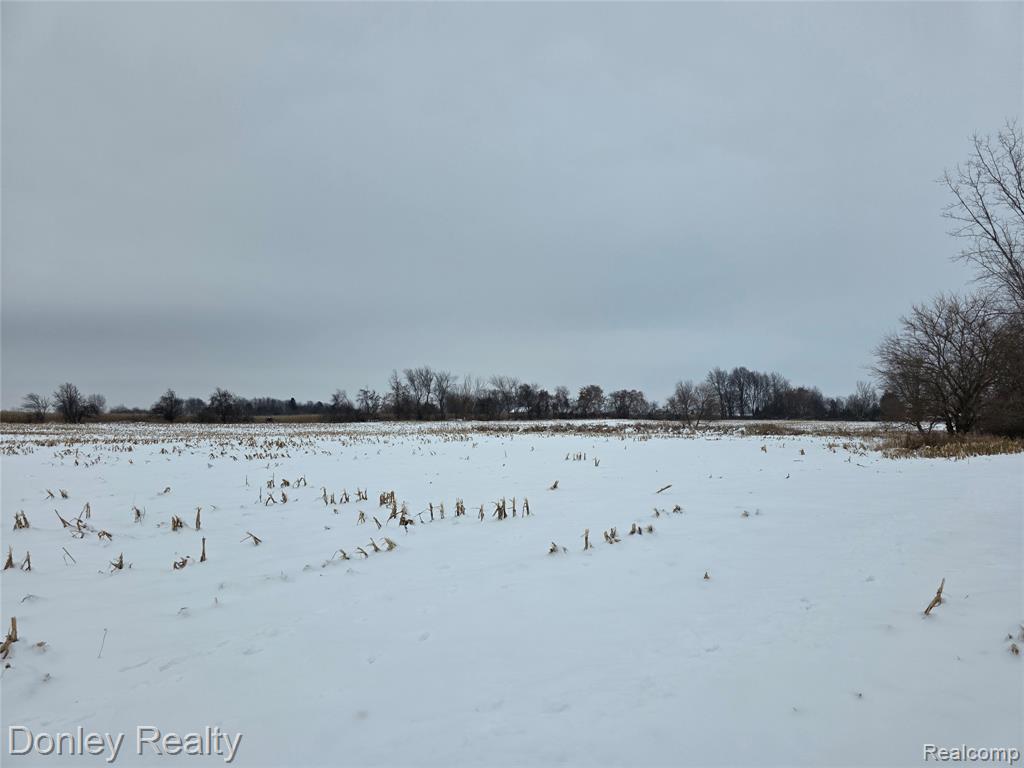 9999 Montgomery, Sanilac, MI 48453 — front exterior