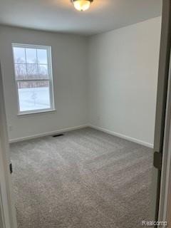 16245 Rogan Drive, Linden, MI 48451 — Photo 15