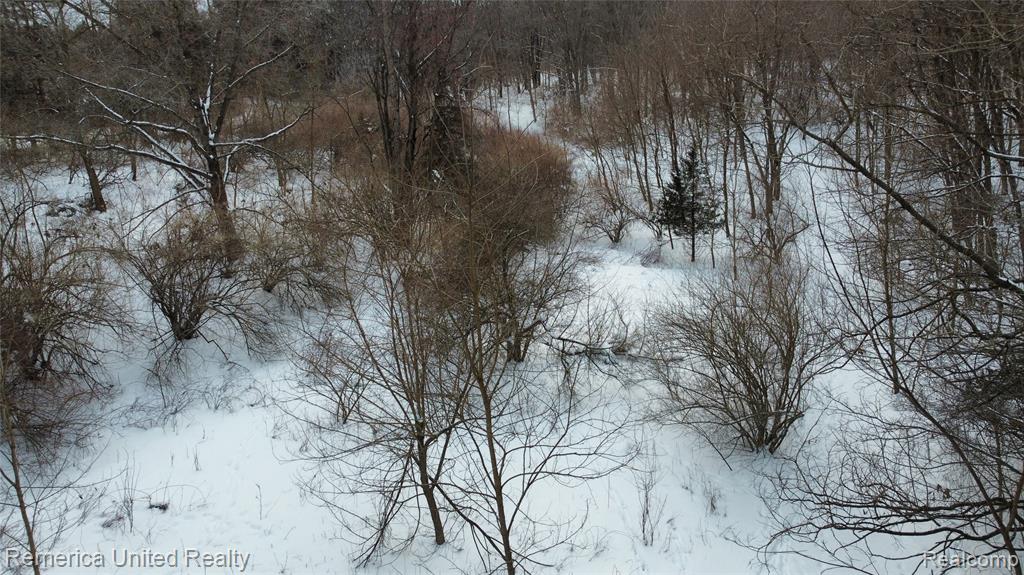 4297 Dinser Lane, Whitmore Lake, MI 48189 — Photo 3