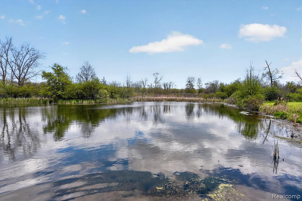 5640 Fowlerville Road, Fowlerville, MI 48836 — Photo 44