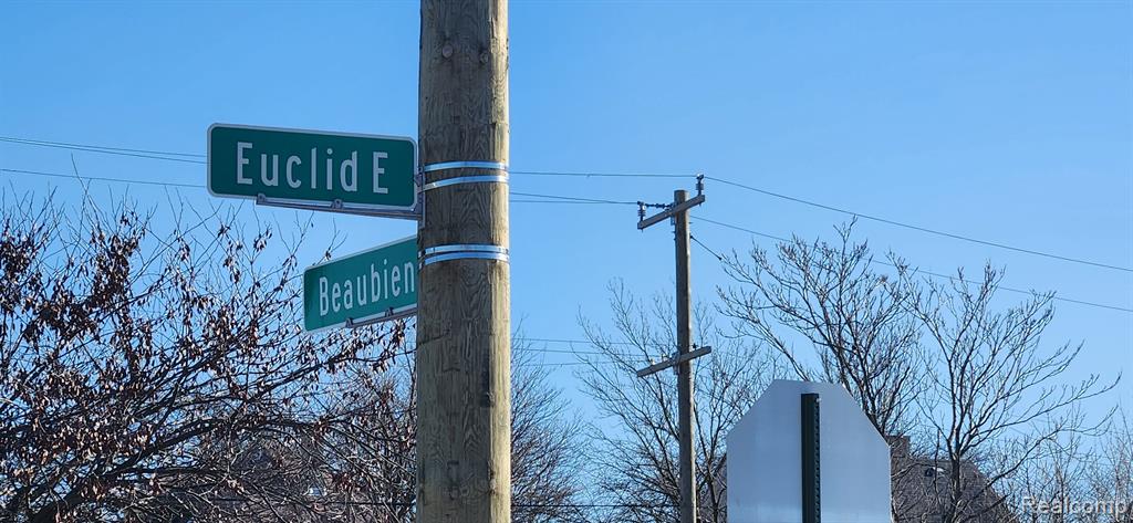 402 E EUCLID Street, Detroit, MI 48202 — Photo 6