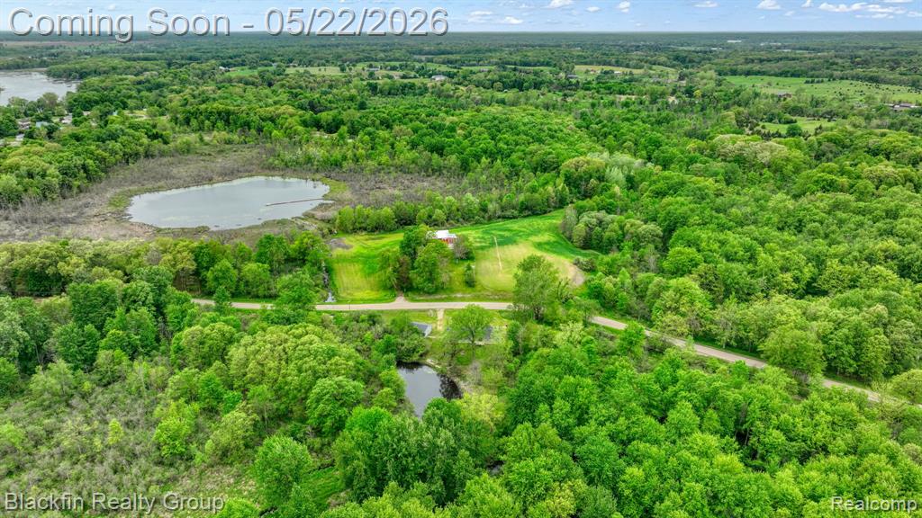 7001 Sweezy Lake Road, Brooklyn, MI 49230 — Photo 58