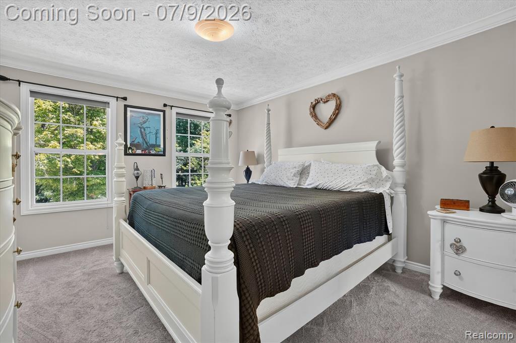 7071 W Grand River Road, Fowlerville, MI 48836 — Photo 28
