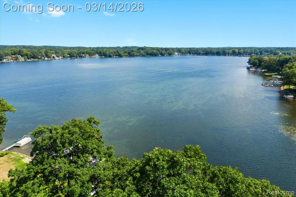 978 Ridge Court, Chelsea, MI 48118 — Photo 23