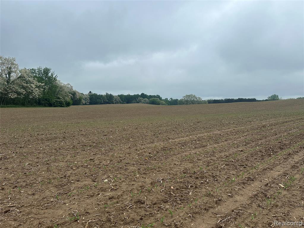 VL Mertz Road, Mayville Vlg, MI 48744 — Photo 29