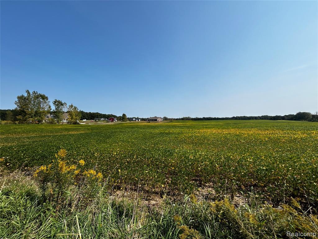 Parcel N N Hacker Road, Howell, MI 48843 — Photo 12
