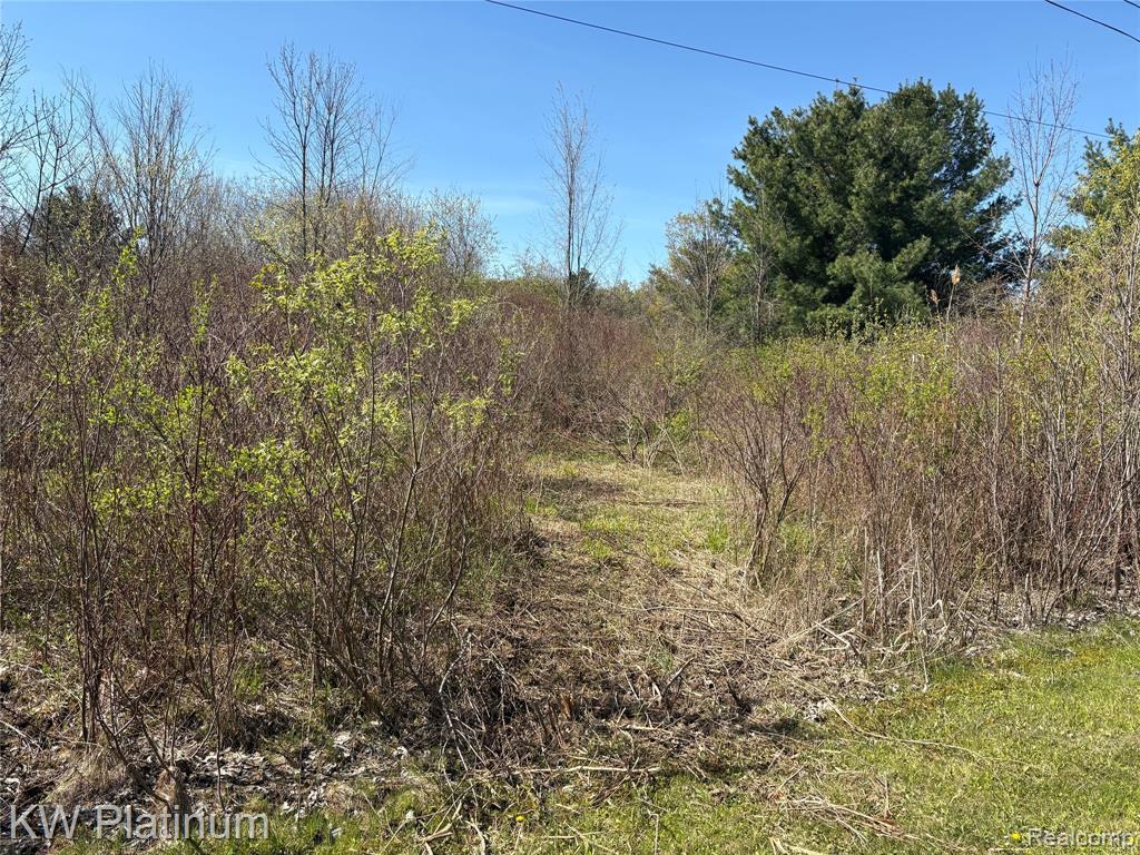 Parcel C Wicha Drive, Burtchville, MI 48059 — Photo 22