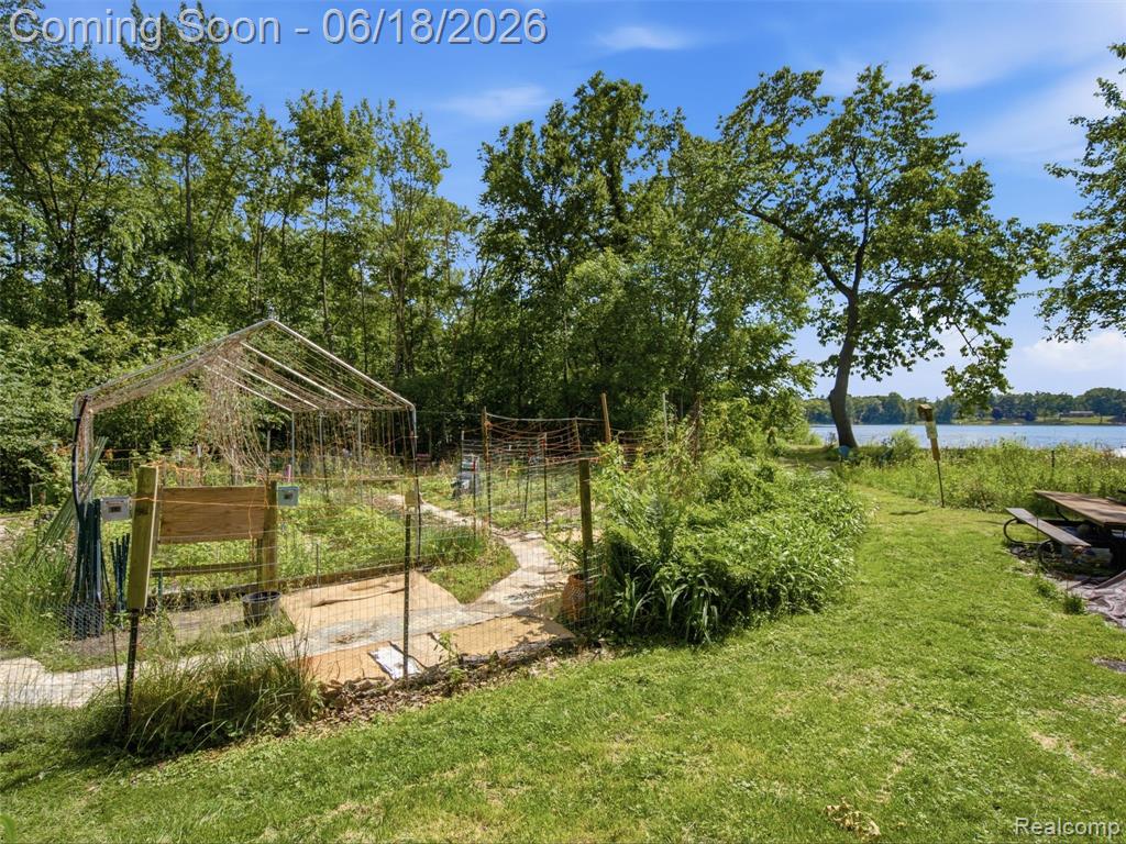14478 Bouchner Drive, Linden, MI 48451 — Photo 55