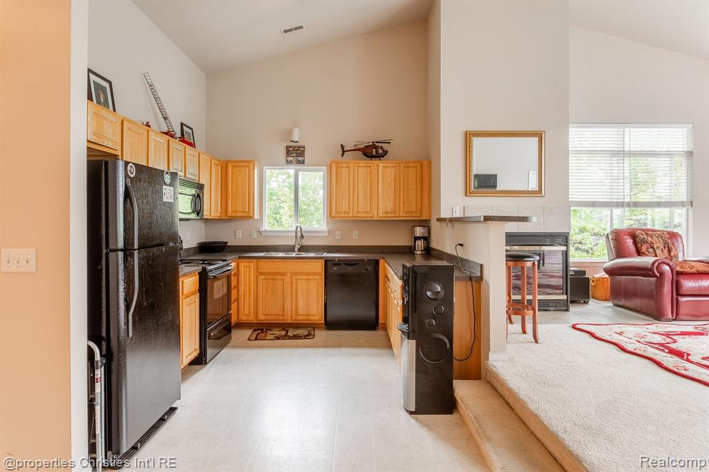 30786 ARDMORE Court, Novi, MI 48377 — Photo 5