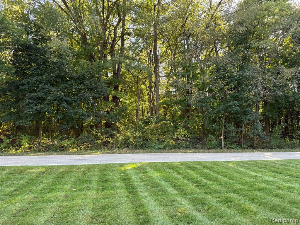 9302 W Arbela Road W, Millington, MI 48746 — Photo 5