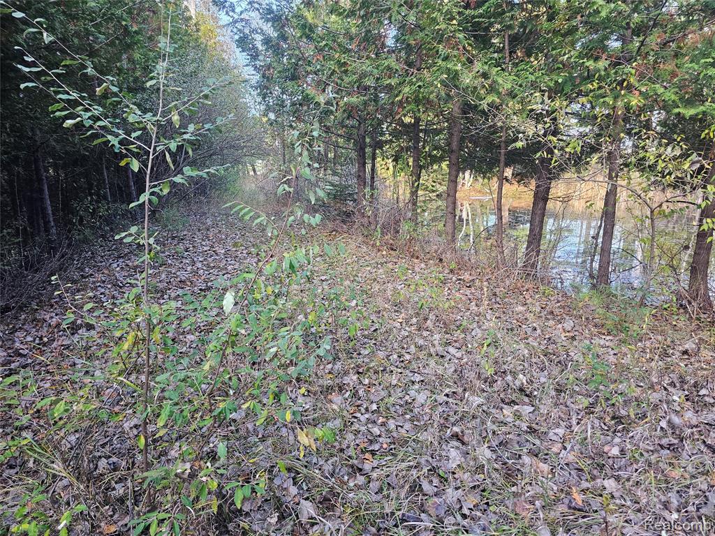 4901 M-55, Tawas City, MI 48763 — Photo 33