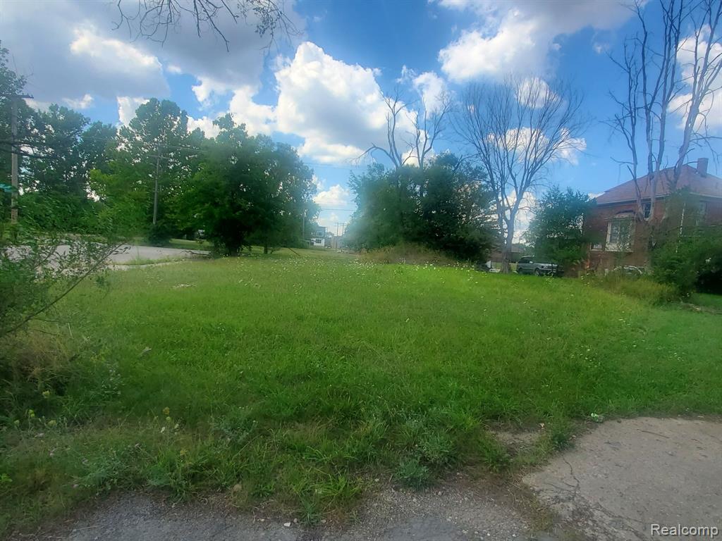 6102 ROSA PARKS Boulevard, Detroit, MI 48208 — Photo 4