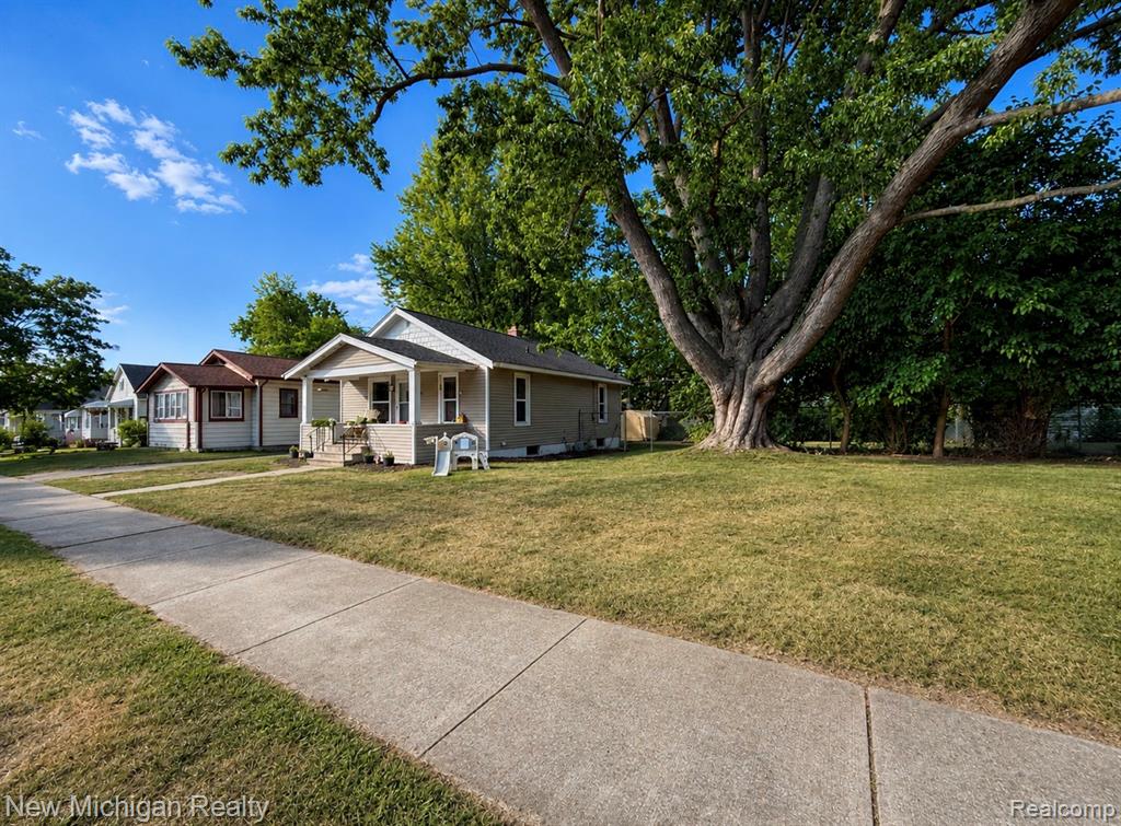 Photo 4