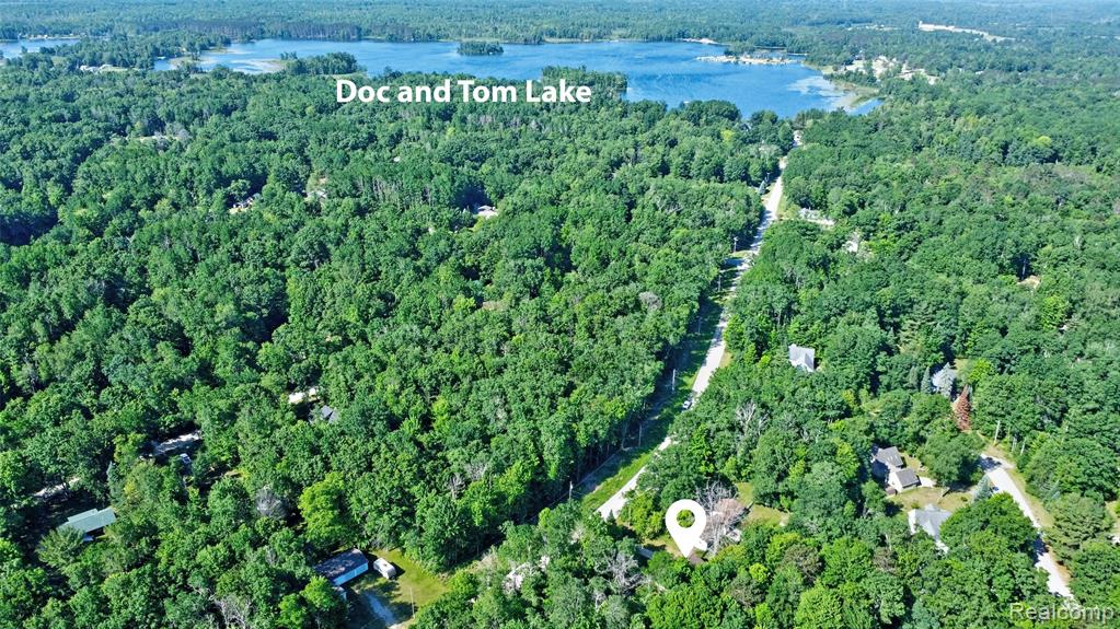 6250 Woodland Drive, Lake, MI 48632 — Photo 5