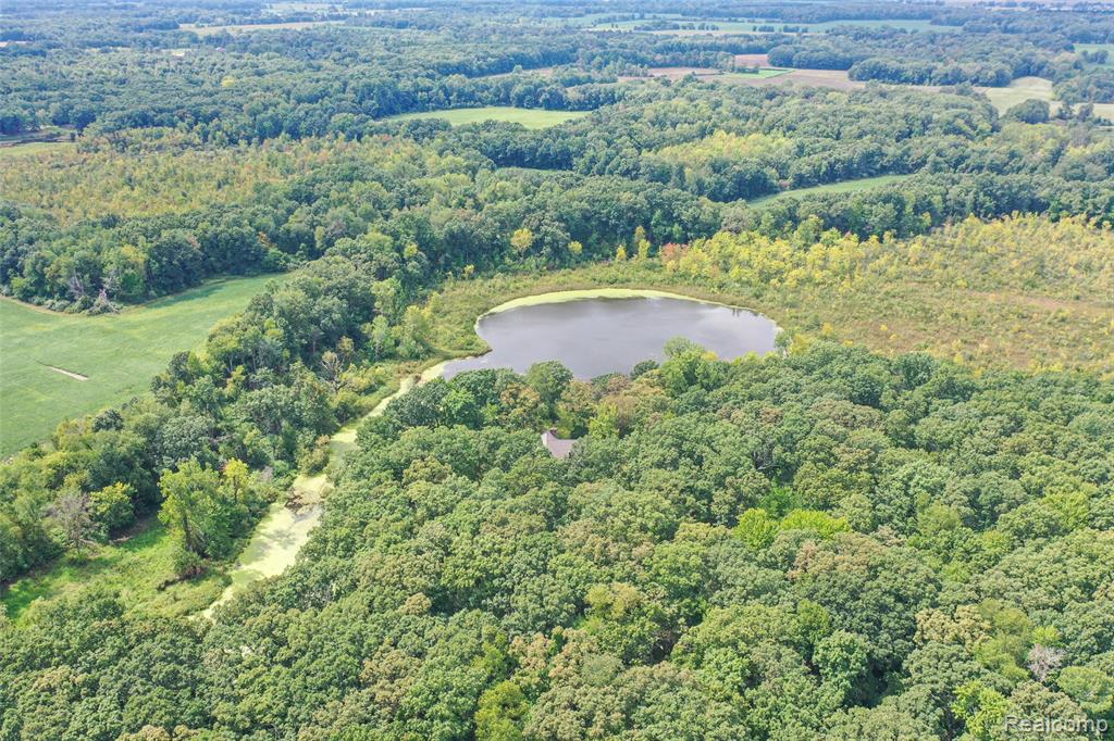 15000 Bishop Road, Byron, MI 48418 — Photo 19