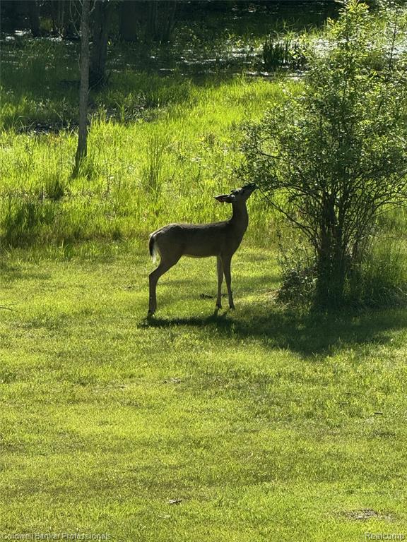 4090 N Fordney Road, Hemlock, MI 48626 — Photo 5