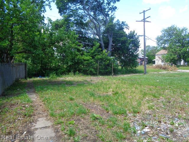 6031 Crane Street, Detroit, MI 48213 — Photo 5