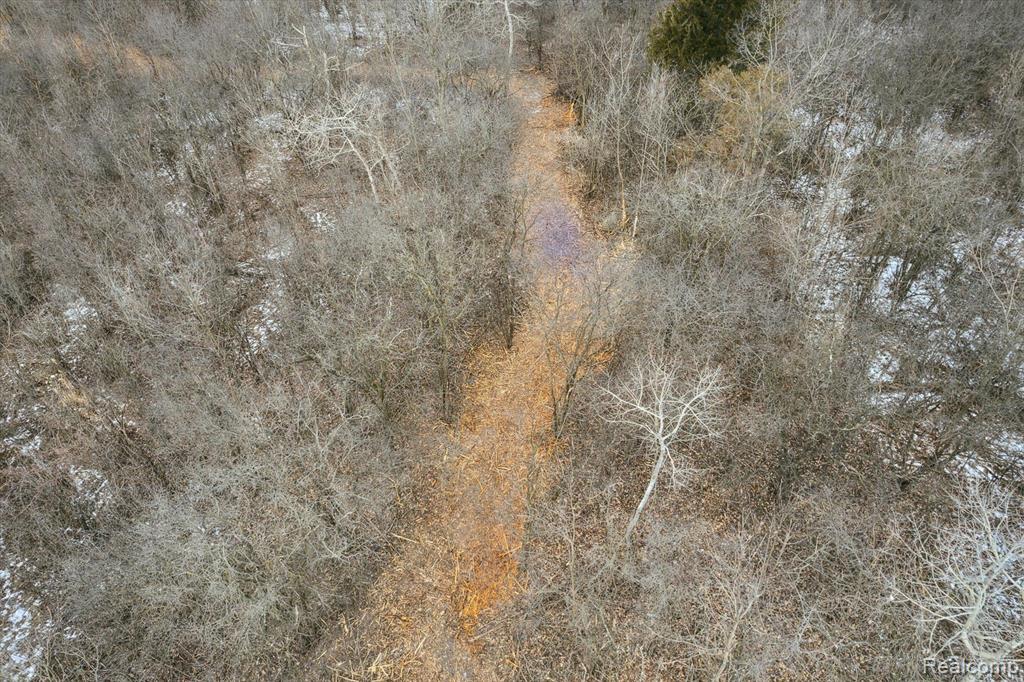 V/L BLAKE Road, Jackson, MI 49201 — Photo 45
