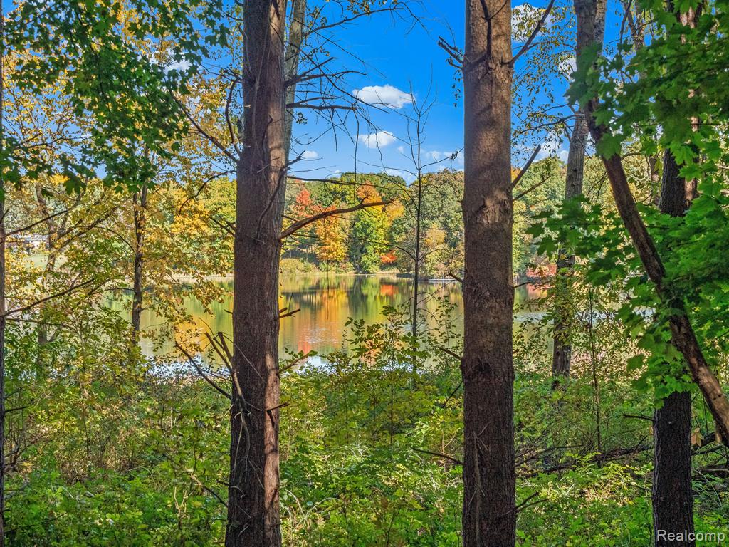 4695 Waterwood Way, Howell, MI 48855 — Photo 5