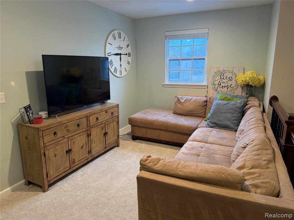 58143 Sunflower Circle S, New Hudson, MI 48165 — Photo 16