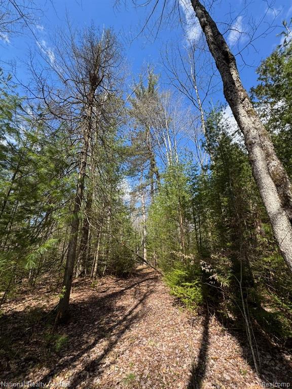 4233 Hardacre Trail, Houghton Lake, MI 48629 — Photo 24