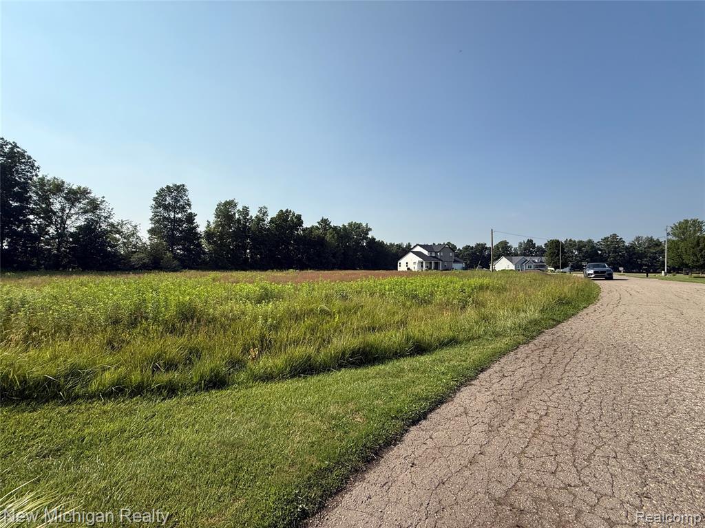 9807 Oak Ridge Road, New Lothrop, MI 48460 — Photo 6