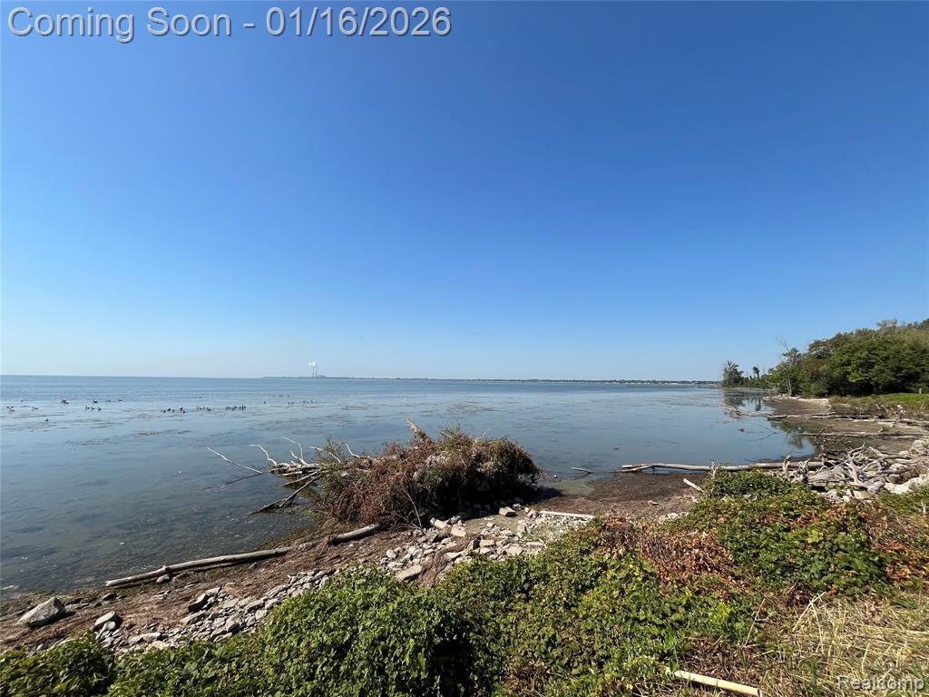 5635 Shady Lane, Newport, MI 48166 — Photo 34