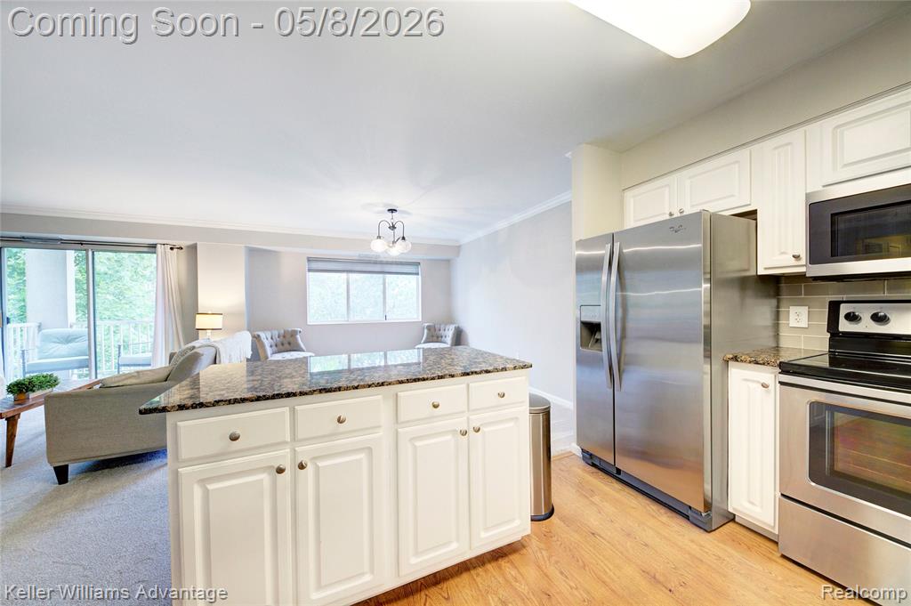 770 Deer Street, 302, Plymouth, MI 48170 — Photo 11
