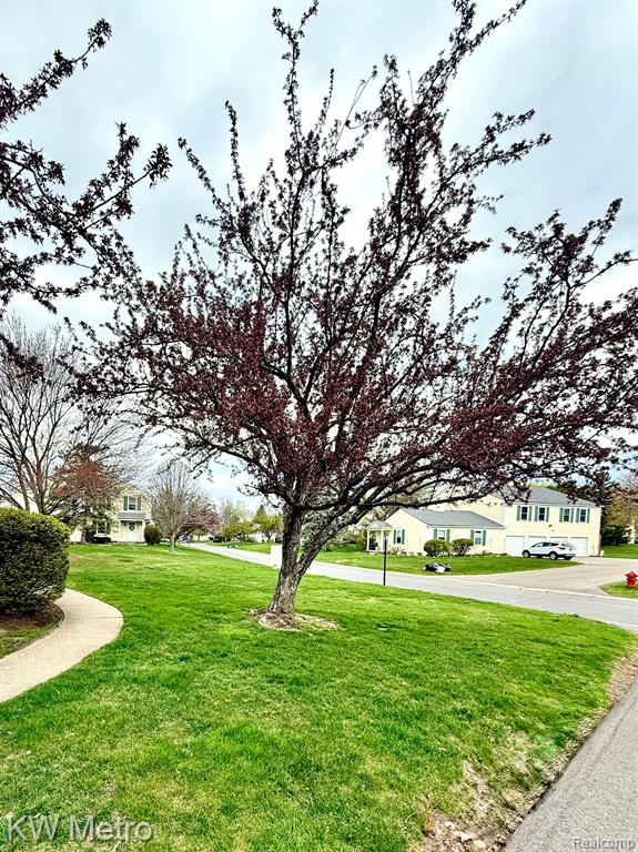 223 NEPTUNE Drive, Walled Lake, MI 48390 — Photo 24