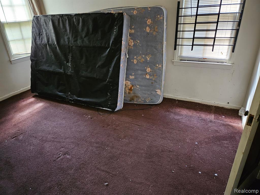 9665 COYLE Street, Detroit, MI 48227 — Photo 5