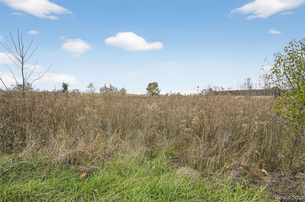 6434 Bristol Road, Swartz Creek, MI 48473 — Photo 20