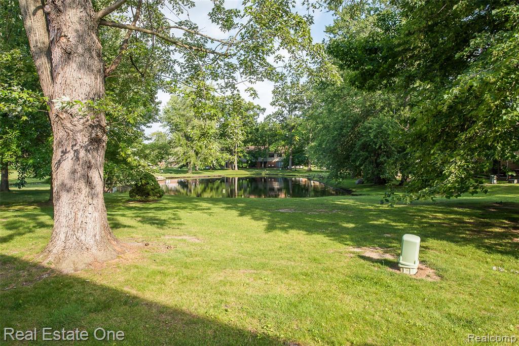 62177 TICONDEROGA, 4, South Lyon, MI 48178 — Photo 30