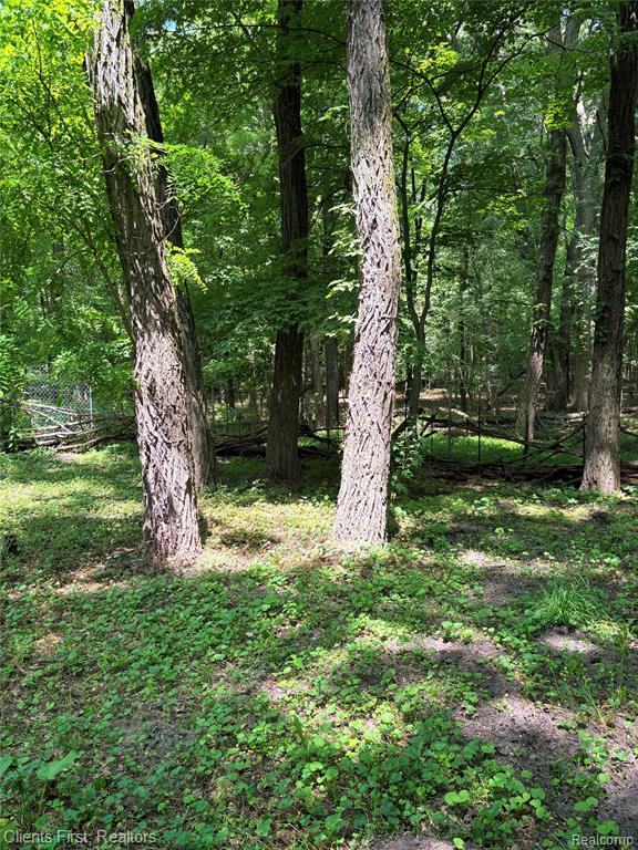 5844 Crandall Road, Howell, MI 48855 — Photo 38